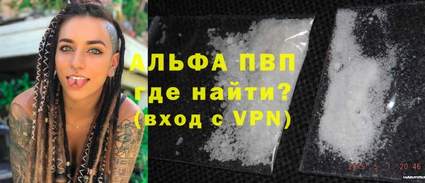 твердый Арсеньев