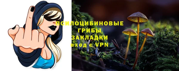 твердый Арсеньев