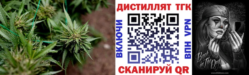 купить наркотики цена  Райчихинск  Дистиллят ТГК гашишное масло 